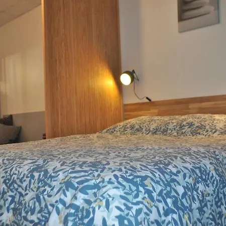 Epicurieux Hyper Centre Ville, Calme - Sejouraixlesbains Apartment *
